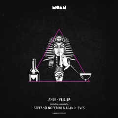 Anek - Veil (Alan Nieves Remix)