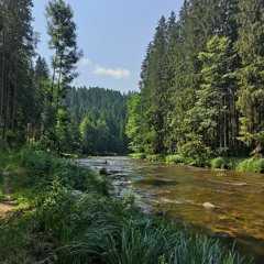 Amalgamations for Viola