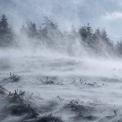 ピアノ連弾的「Frost」