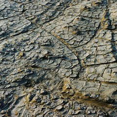 w/ Lurun [Live from Deepwater Greenhouse]