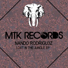Nando Rodrigu3z - Lost In The Jungle