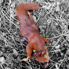 Blut, Schweiß und Tränen Riddim.mp3