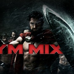Spartan Training program