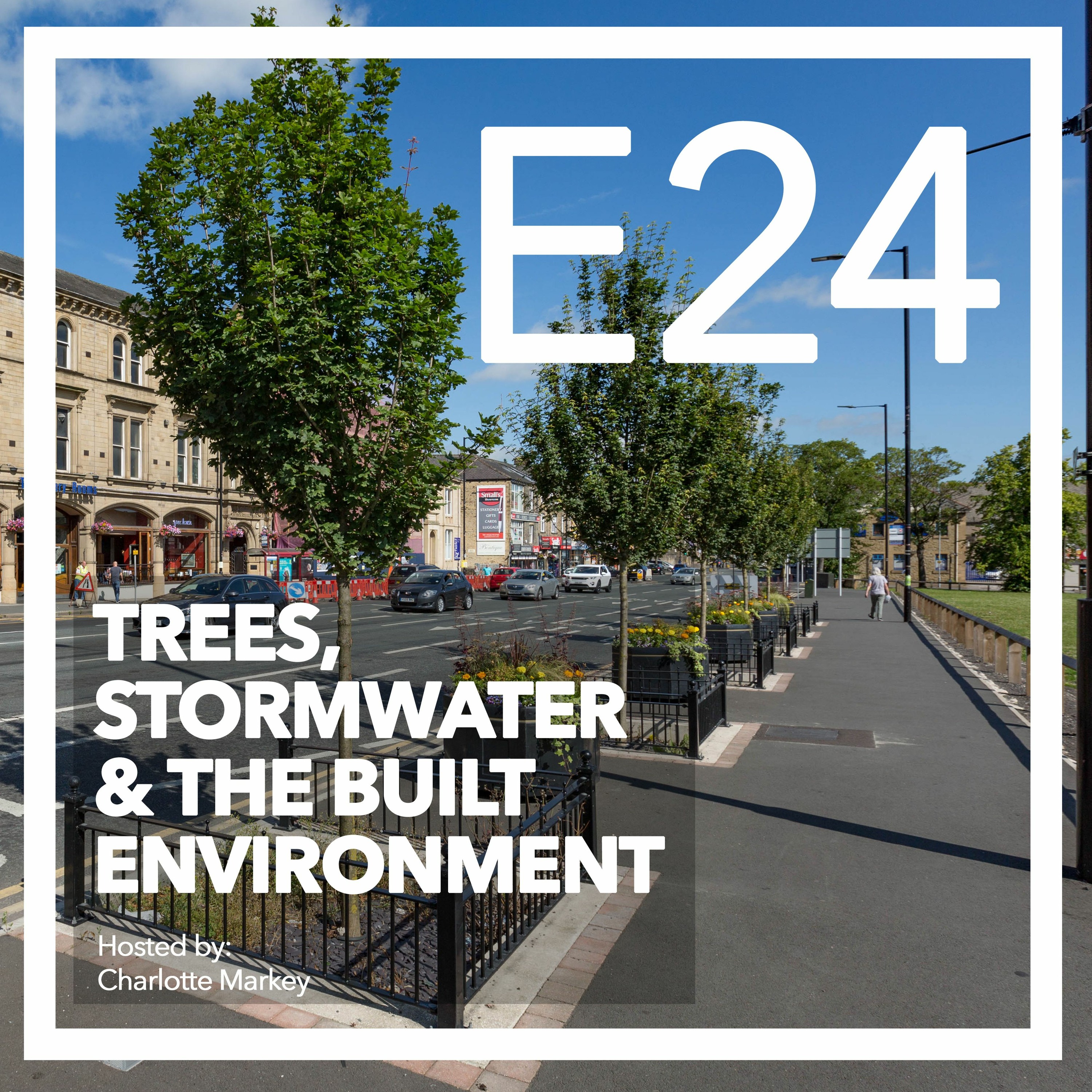 Trees-Stormwater