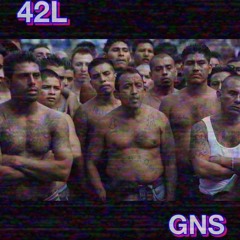 42L - GNS