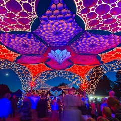 Sunrice 2019