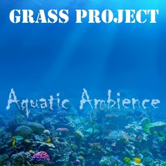 DKC - Aquatic Ambience (Grass Project Remix)