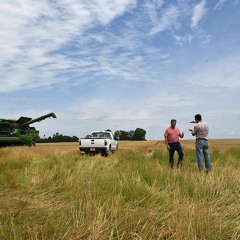 How’s it growing? New York State summer crop outlook