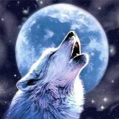 Riding on the darkside of the moon with Moonwolf 4