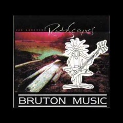 Get a Life - Ian Anderson (BAF/BREIN warning music)