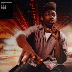 FREE Pete Rock Sample Challenge (The System) (Prod. Luke White)