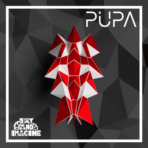 Try and Imagine - Pupa [PREMIERE]