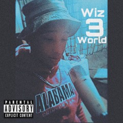 LongLiveWiz (LLW333)