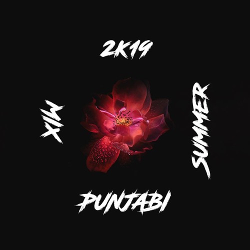 2K19 SUMMER PUNJABI MIX
