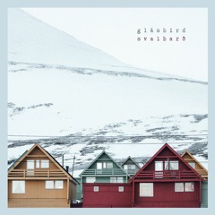 wlr061 Glåsbird - Svalbarð