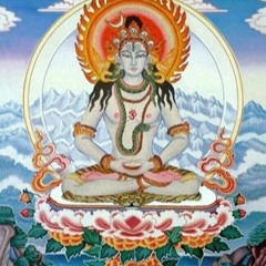 Shiva Shambo
