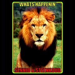 SENNID & STEENKOUD - WHATS HAPPENIN'