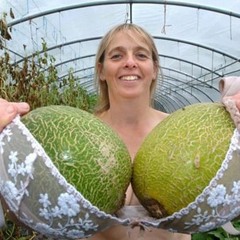 Sweet Melons
