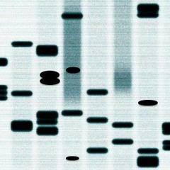 MTP-SKELETONS (prod. glindof)