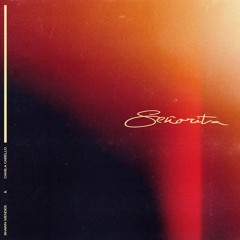 Señorita - Camila Cabello & Shawn Mendes Cover
