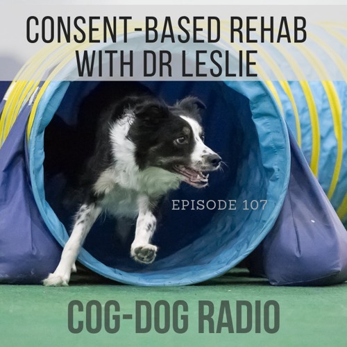 Consent-Based Rehab with Dr Leslie