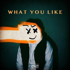 What You Like (ft. Flipp Dinero)