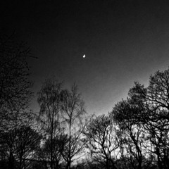 Pet Sematary (Ramones Cover)