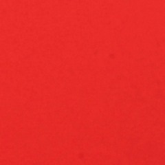 Lil Trappa- On Some Shit