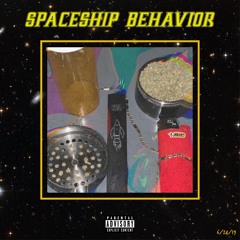 Spaceship Behavior