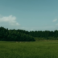YACHIMATA_190731