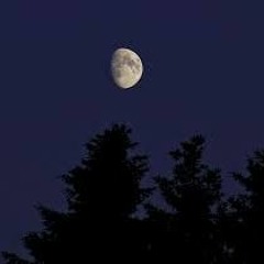 why is the sky blue - KillMeSlowly (Ft. Becca)