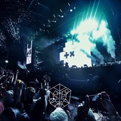 Martin Garrix live @Fuji Rock Festival(KOTA REMAKEMIX)