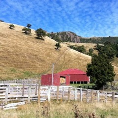 French Farm dawn chorus with clarinet 28.12.11
