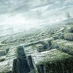 The Maze