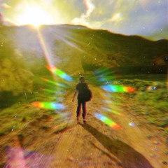 InkLiiiNg / The Fourth Veil