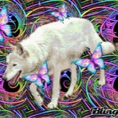 wolf wang