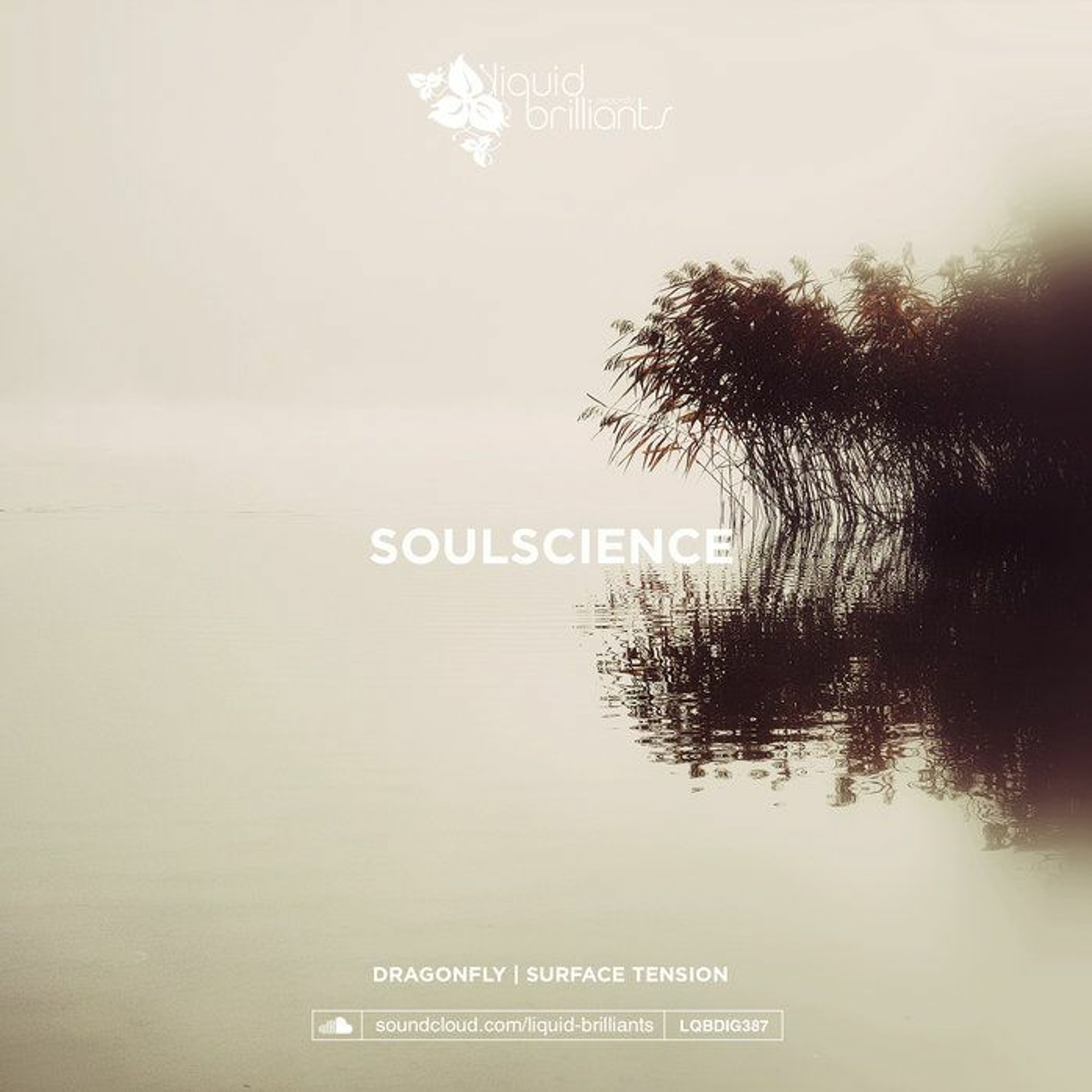 Soulscience
