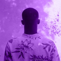 Sunni Colón - Technicolor ( slowed )