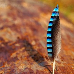 Native Message