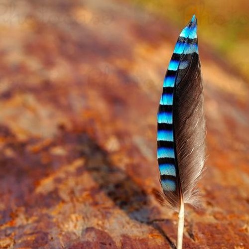 Native Message