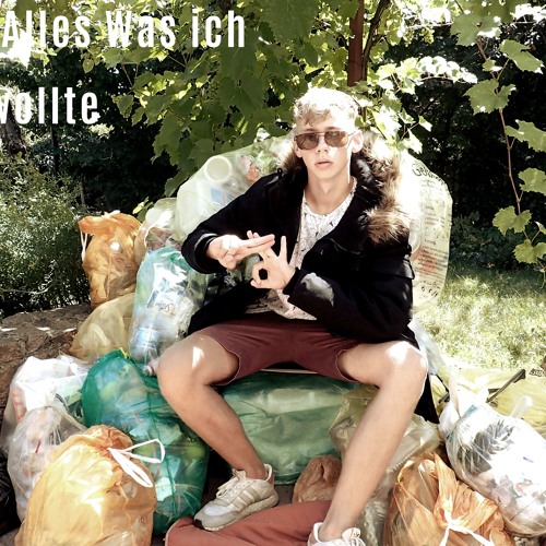 Alles Was Ich Wollte