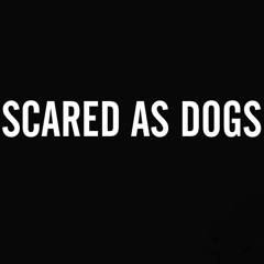 Scared As Dogs