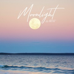 Rabbit Theft - Moonlight