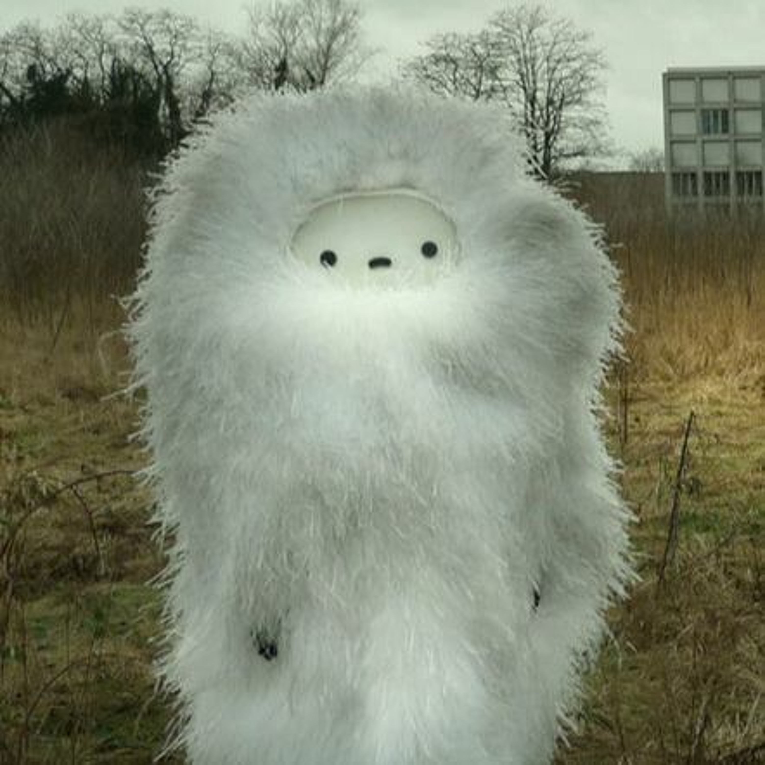 ZOONAK