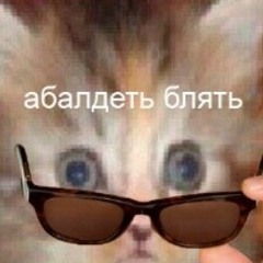 Frendzona - Toshiba lesby