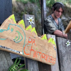 Chimpanzee @ Alm Beatz 2019