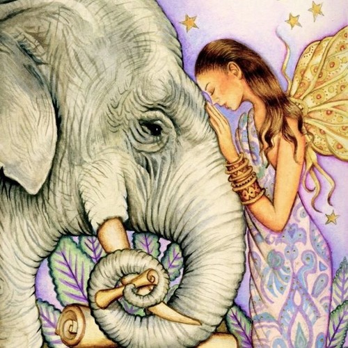 InnAya  - Ethno Fusion Vibes