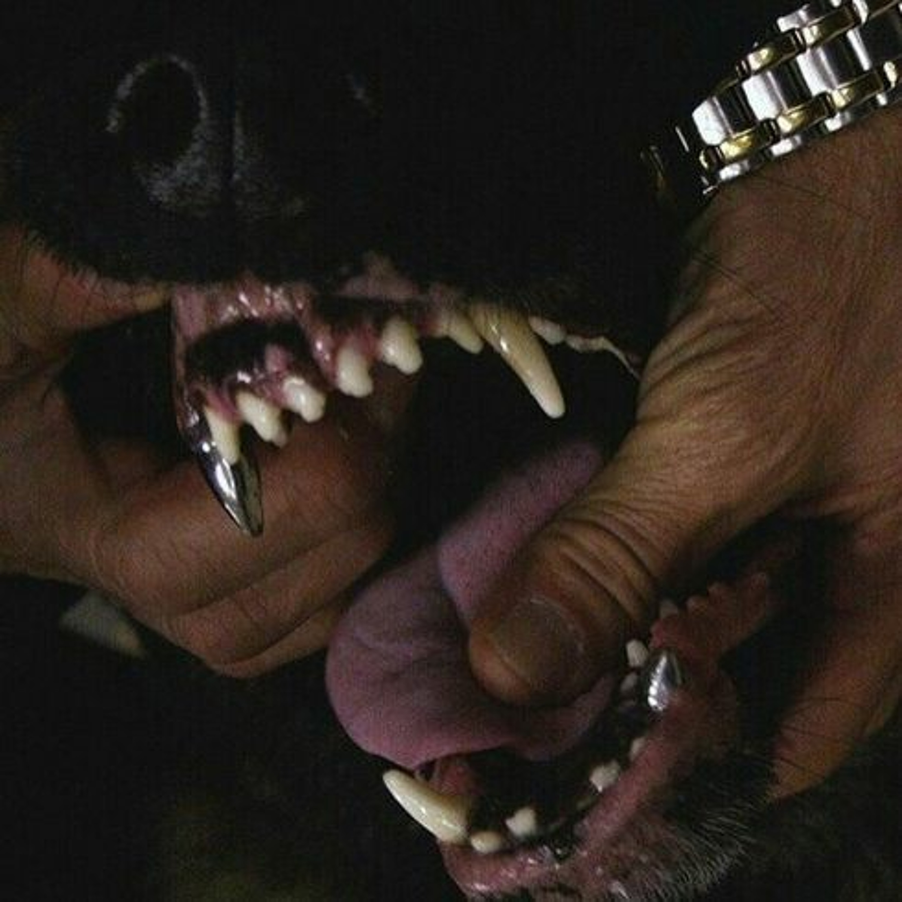 REST IN PAIN episode artwork