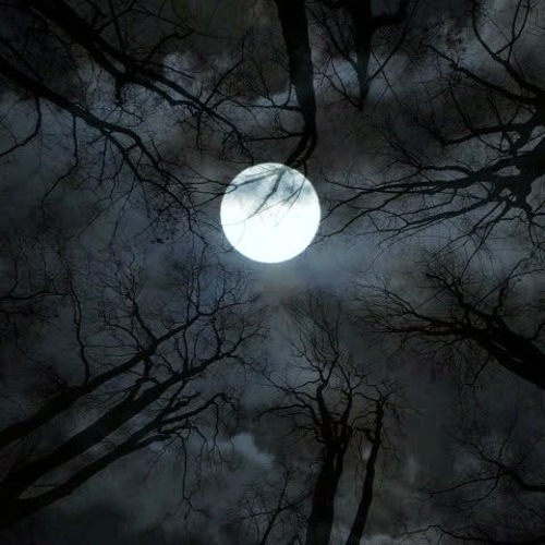 HORRIFIK Vs LYC'ANTROPE - Full Moon [MENTAL] Extract Live