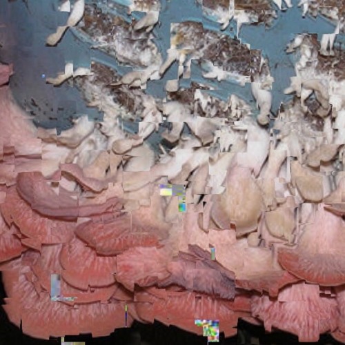 Decompostalgia